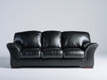 Canapé 3 places - Cuir - 218 x 96 x 91 cm - Noir - Style contemporain